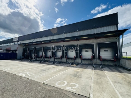Advenis RES - Immobilier d'entreprises