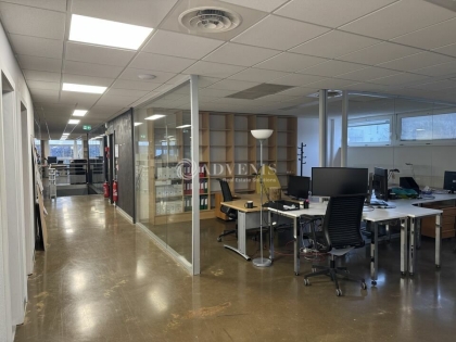 Advenis RES - Immobilier d'entreprises