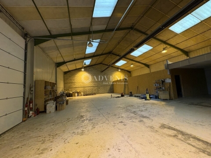 Advenis RES - Immobilier d'entreprises