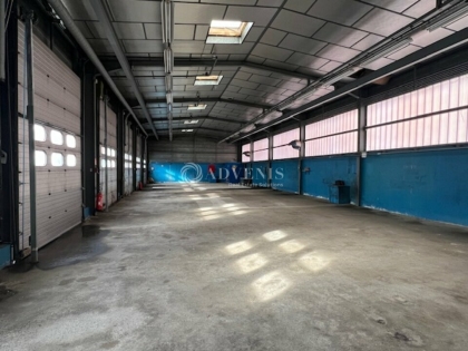 Advenis RES - Immobilier d'entreprises