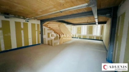 Advenis RES - Immobilier d'entreprises