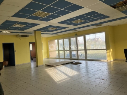 Advenis RES - Immobilier d'entreprises