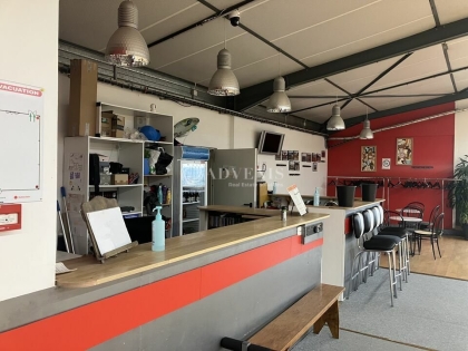 Advenis RES - Immobilier d'entreprises