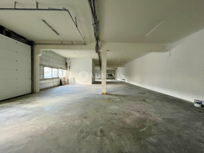 Advenis RES - Immobilier d'entreprises