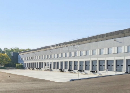 Advenis RES - Immobilier d'entreprises