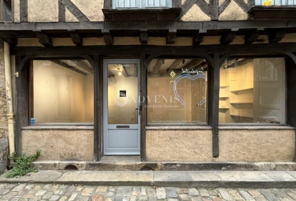 Advenis RES - Immobilier d'entreprises