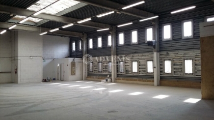 Advenis RES - Immobilier d'entreprises