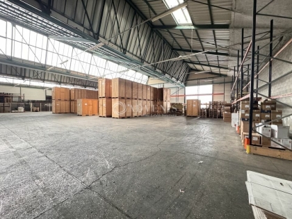 Advenis RES - Immobilier d'entreprises