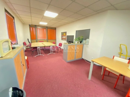 Advenis RES - Immobilier d'entreprises