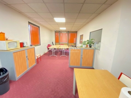 Advenis RES - Immobilier d'entreprises