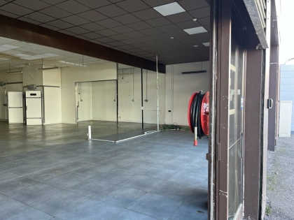 Advenis RES - Immobilier d'entreprises