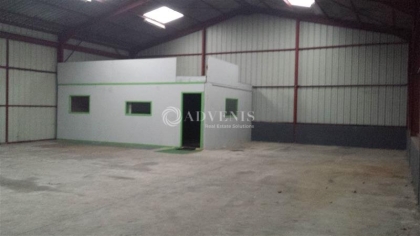 Advenis RES - Immobilier d'entreprises