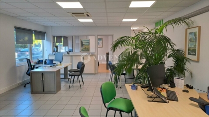 Advenis RES - Immobilier d'entreprises
