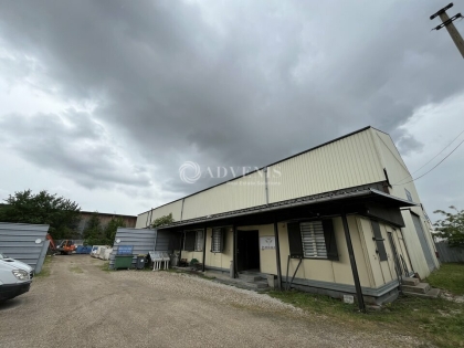 Advenis RES - Immobilier d'entreprises