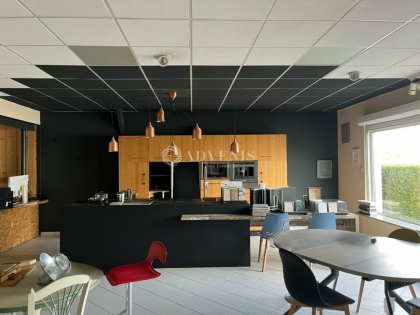 Advenis RES - Immobilier d'entreprises