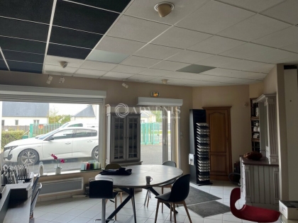 Advenis RES - Immobilier d'entreprises