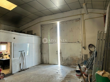 Advenis RES - Immobilier d'entreprises