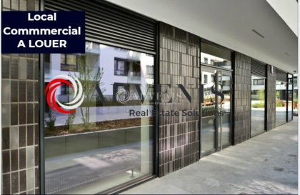 Advenis RES - Immobilier d'entreprises