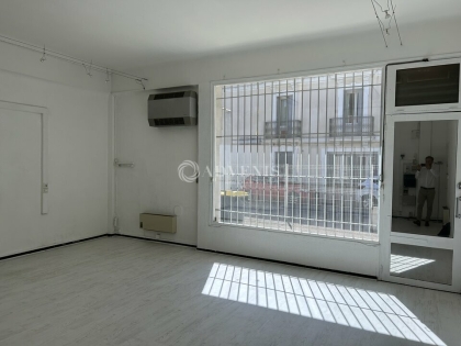 Advenis RES - Immobilier d'entreprises