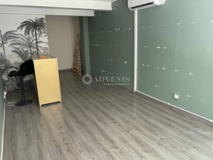 Advenis RES - Immobilier d'entreprises