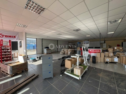 Advenis RES - Immobilier d'entreprises