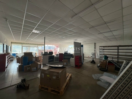 Advenis RES - Immobilier d'entreprises