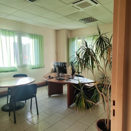 Advenis RES - Immobilier d'entreprises