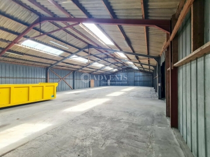 Advenis RES - Immobilier d'entreprises