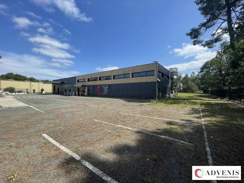 Vente Investisseur Activités Entrepôts SAINT JEAN D'ILLAC (33127) - Photo 1