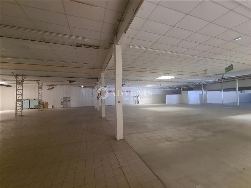 Vente Investisseur Activités Entrepôts BAR LE DUC (55000) - Photo 4