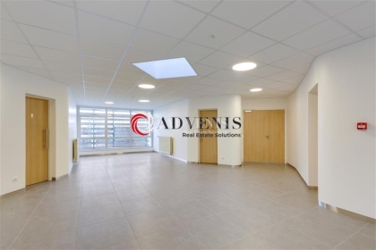 Advenis RES - Immobilier d'entreprises