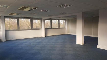 Location Bureaux TOULOUSE - Photo 1