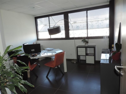 Advenis RES - Immobilier d'entreprises