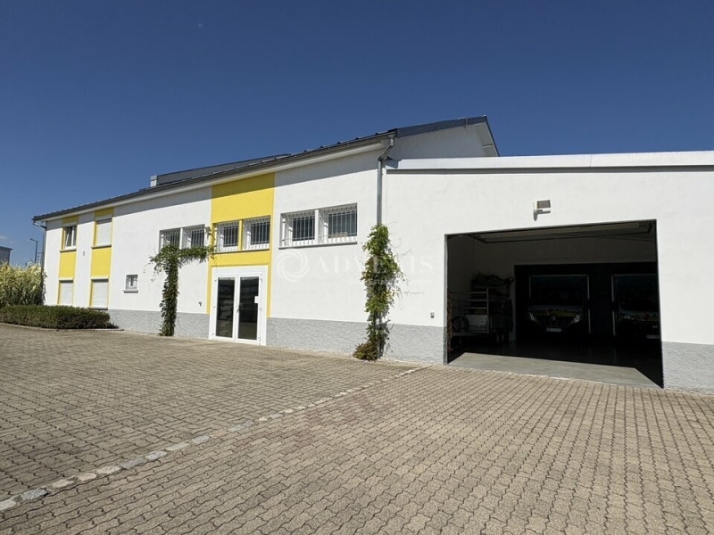 Vente Investisseur Activités Entrepôts HOENHEIM (67800) - Photo 1