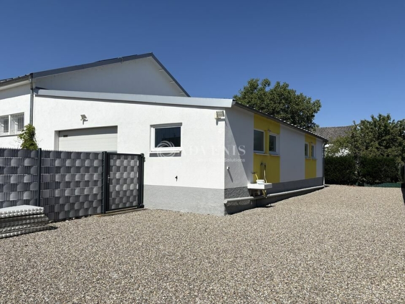 Vente Investisseur Activités Entrepôts HOENHEIM (67800) - Photo 3