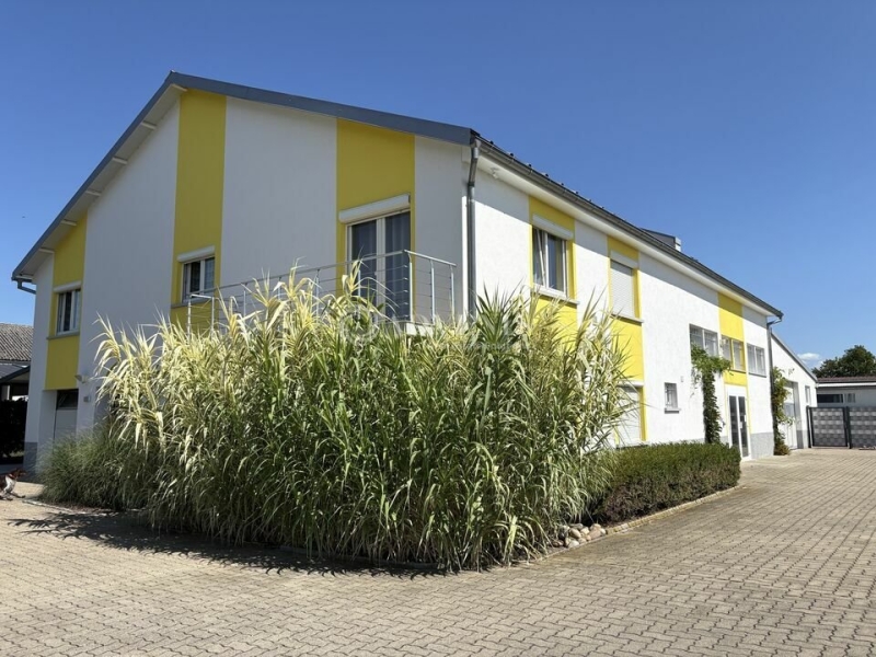 Vente Investisseur Activités Entrepôts HOENHEIM (67800) - Photo 5