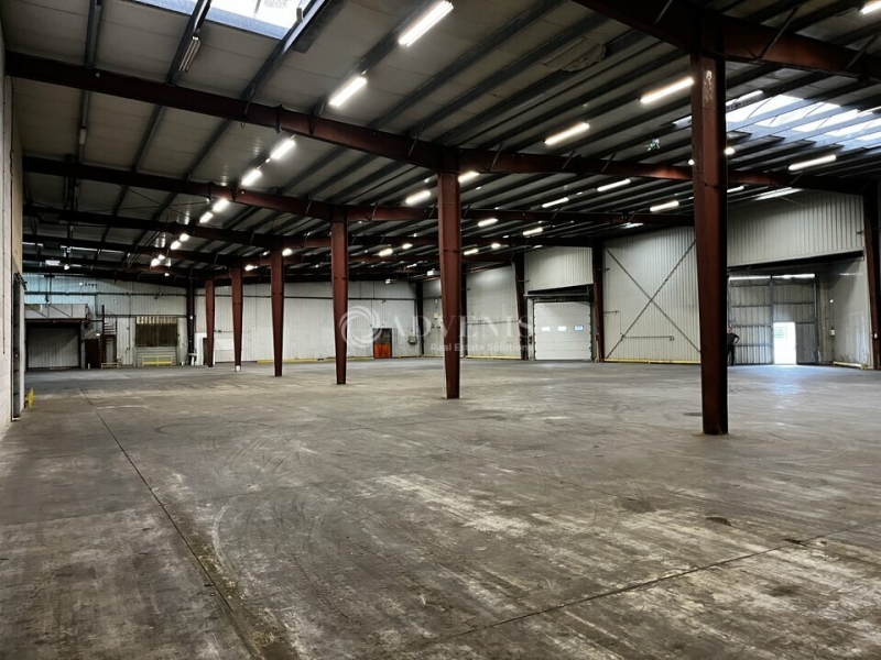 Location Activités Entrepôts DUTTLENHEIM (67120) - Photo 1