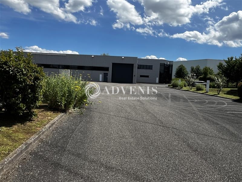 Vente Utilisateur Activités Entrepôts HOLTZHEIM (67810) - Photo 4