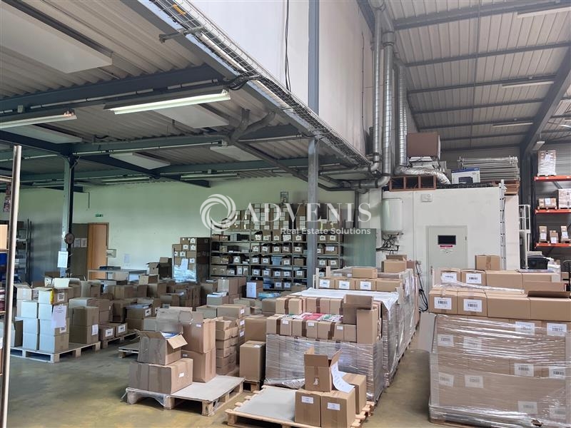 Location Activités Entrepôts ECKBOLSHEIM (67201) - Photo 2