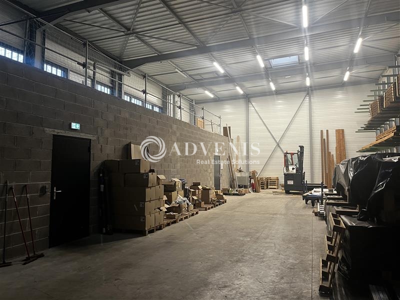 Location Activités Entrepôts VENDENHEIM (67550) - Photo 6