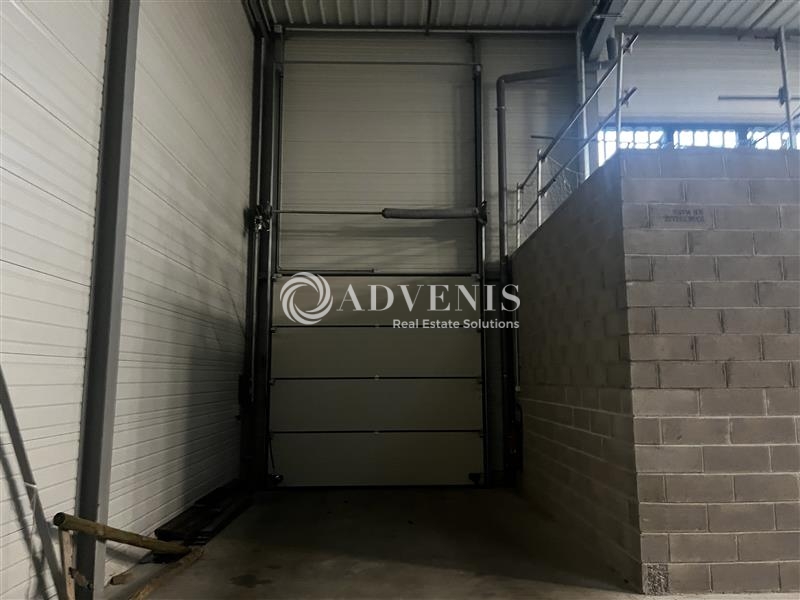 Location Activités Entrepôts VENDENHEIM (67550) - Photo 8