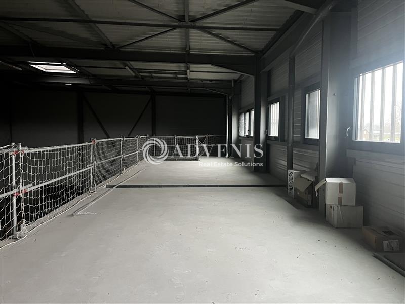 Location Activités Entrepôts VENDENHEIM (67550) - Photo 9