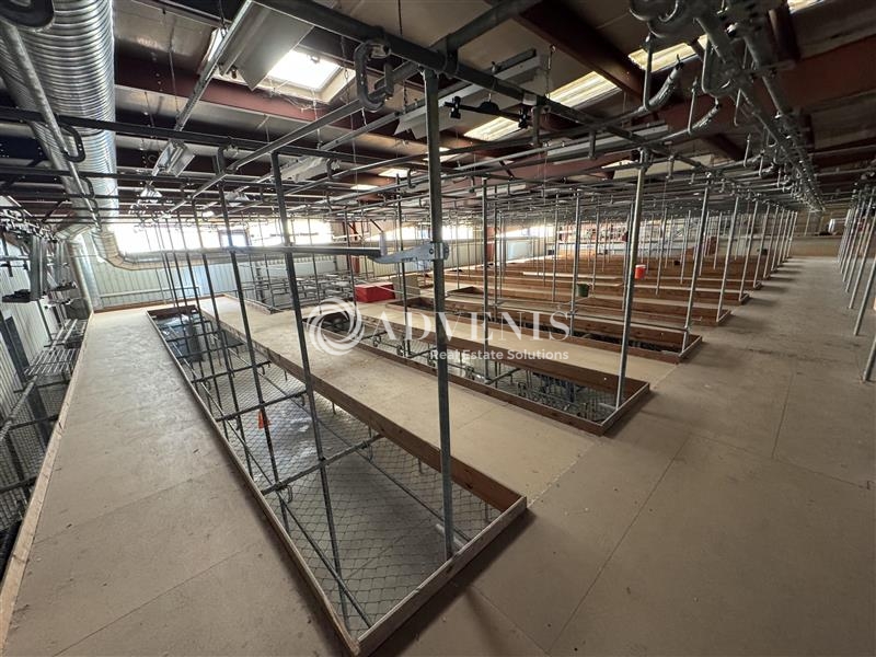 Vente Utilisateur Entrepôts HOERDT (67720) - Photo 10