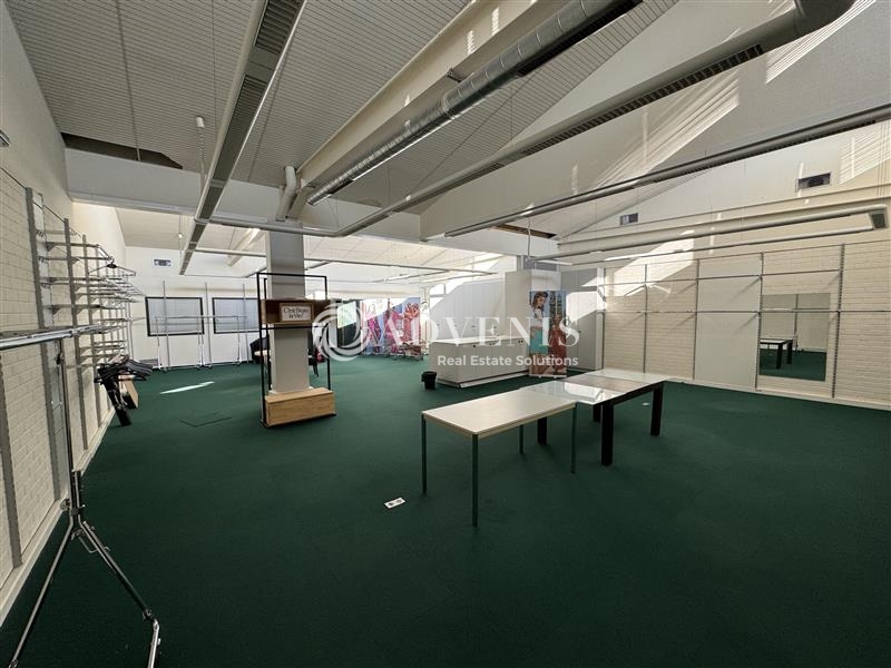 Vente Utilisateur Entrepôts HOERDT (67720) - Photo 12
