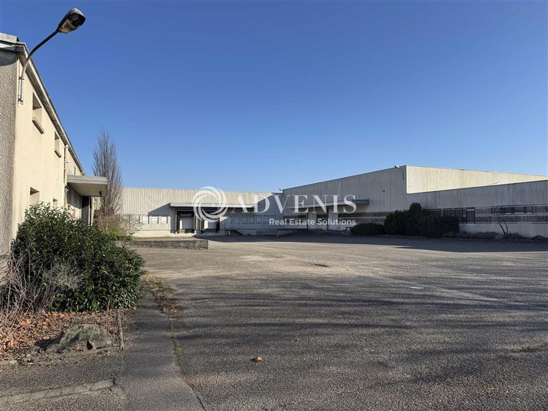 Vente Utilisateur Entrepôts HOERDT (67720) - Photo 2