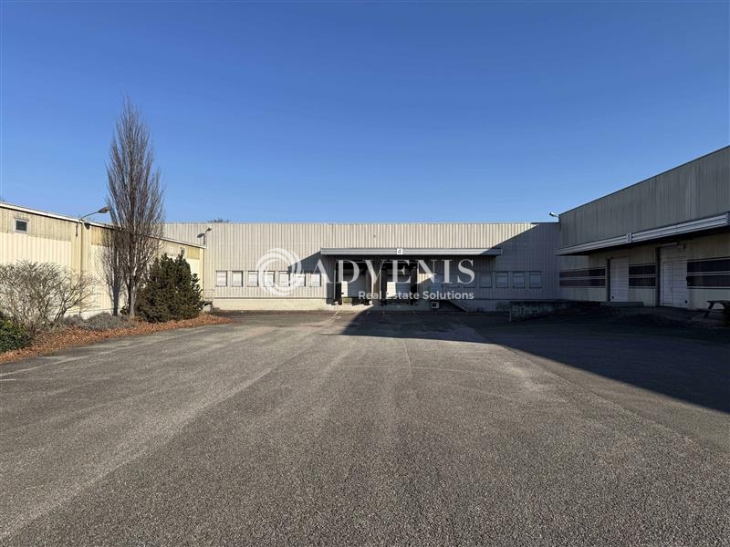 Vente Utilisateur Entrepôts HOERDT (67720) - Photo 3