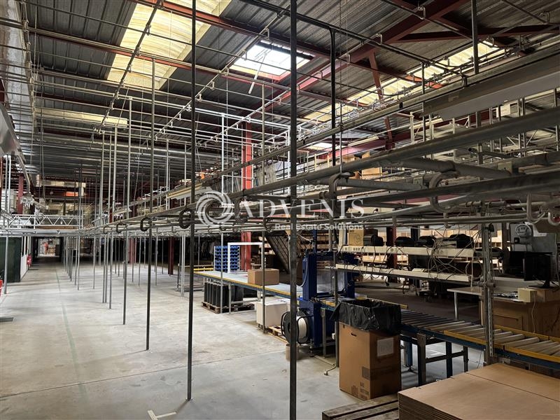 Vente Utilisateur Entrepôts HOERDT (67720) - Photo 7