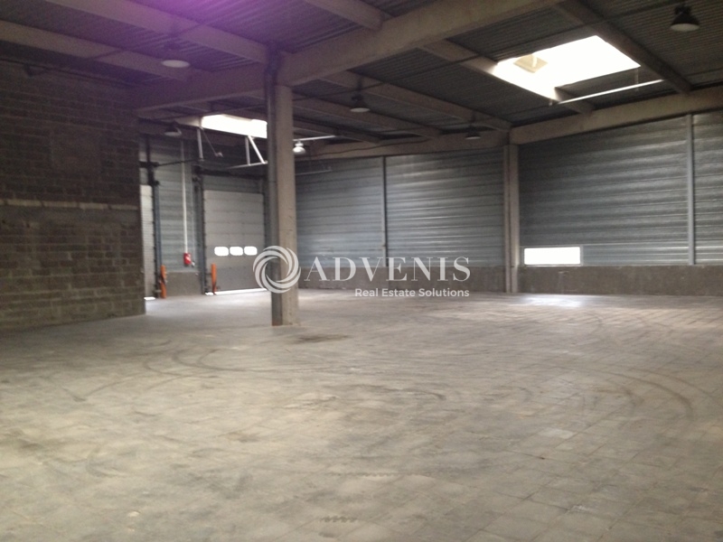 Location Activités Entrepôts LINGOLSHEIM (67380) - Photo 3