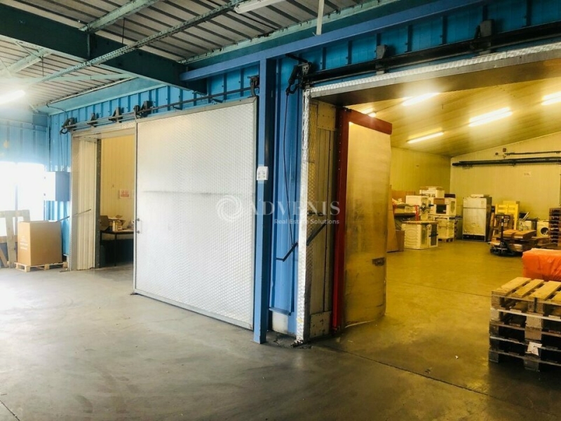 Location Activités Entrepôts HOERDT (67720) - Photo 5