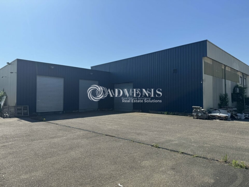 Location Activités Entrepôts ECKBOLSHEIM (67201) - Photo 1